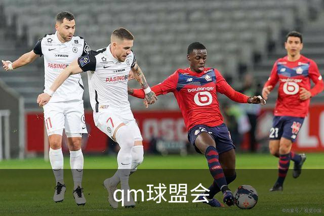 qm球盟会公司介绍